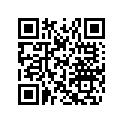 516008381 Side DEcal