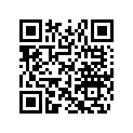 516008819 Decal Console Ext L