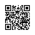516010246 Decal &quot600 Ace"