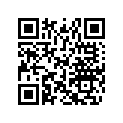 516010258 LH Central Tunnel Decal &quot154"