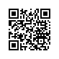 516010307 RH Tunnel Decal &quot154"