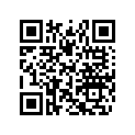 516010446 LH Tunnel Decal &quot20"
