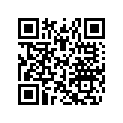 516010490 Decal &quot600 ACE"