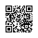 51622-222-000 Paking,rib