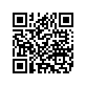 5171008 POST,GRABSTRAP