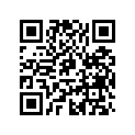 517254101 Support Lateral*supp.-side