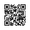 517279700 Bretelle       *support Mach Z. Mach Z-l
