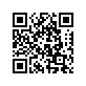517285200 Renfort        *reinforcement