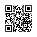 517293200 Entretoise     *spacer