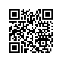 517294700 Support        *support