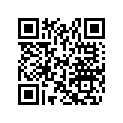 517294800 Renfort        *reinforcement