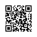 517295000 Support Gauche *support-lh
