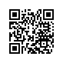 51730060000 Comustion chamber insert