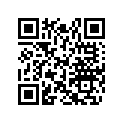 517302264 STUD