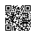 517302462 Console        *console