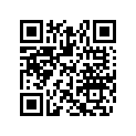517302703 Console        *console