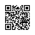 517303087 P Brise Split  *wind Split