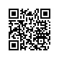517303130 P Brise Firebee*wind.firebee