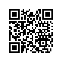 517303317 Embout         *cap