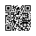 517303431 Renfort Coffre *storage Bracke