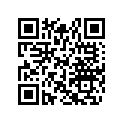 517303594 Decal.ajust.   *decal-ajust.