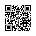 517303741 Console