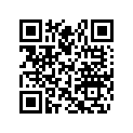 517303894 Mirror RH/LH