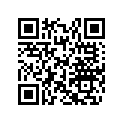 517304176 Console        *console