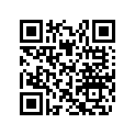 517304250 Console