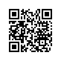 517304368 WHITE RH PANNEL