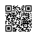 517304404 Console