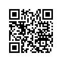 517304521 Console
