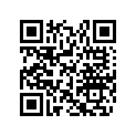 517304527 Console