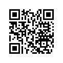 517304528 Console