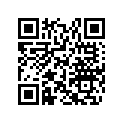 517304539 Console