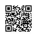 517304541 Console