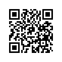 517304593 CONSOLE B-293