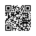 517304637 Console        *console (600hoe )