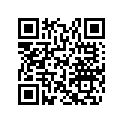 517304647 Console