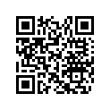 517304827 Console