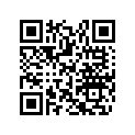 517304943 Console