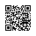 517305149 Console