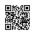 517305258 Console