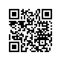 517306375 Support