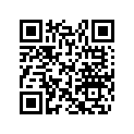 517307386 Support