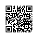5179600 PASSENGERPILLIONFLSTS
