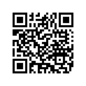 5179699 PASSENGERPILLIONFLSTS