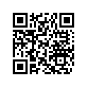 518323859 Support        *bracket