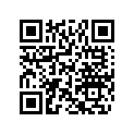 518325795 Bretelle       *link