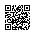 5195708 105THPILLION,FLSTF